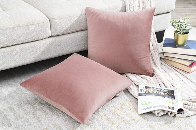 COMFORTLAND 2 Pack Decorative Throw Pillow Covers, Square Soft Luxury Velvet Cushion Covers, 20x2... | Amazon (US)