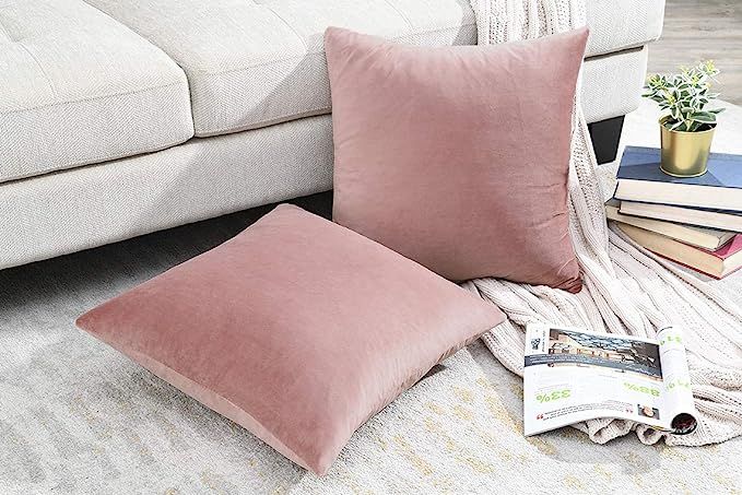 COMFORTLAND 2 Pack Decorative Throw Pillow Covers, Square Soft Luxury Velvet Cushion Covers, 20x2... | Amazon (US)