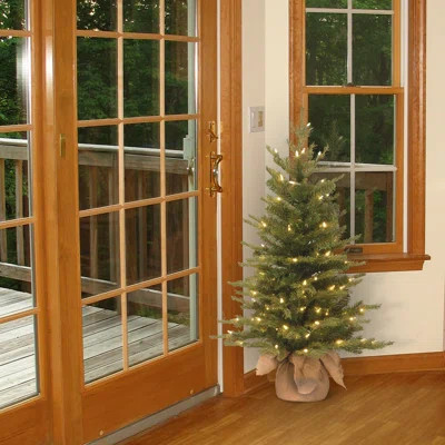 Nordic Spruce Tree with Clear Lights | Wayfair North America