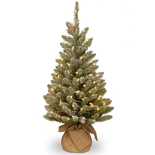 National Tree Company Pre-lit Artificial Mini Christmas Tree | Includes Small White LED Lights and Cloth Bag Base | Snowy Concolor Fir Burlap - 3 ft, Brown/Green | Amazon (US)