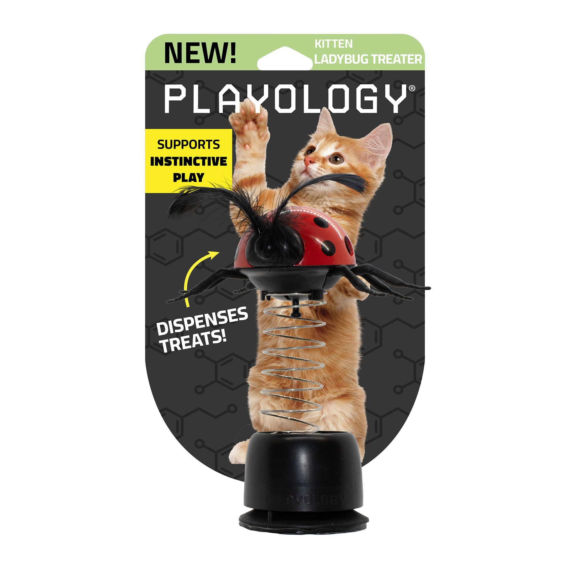 Playology® Ladybug Treat Dispenser Cat Toy | PetSmart