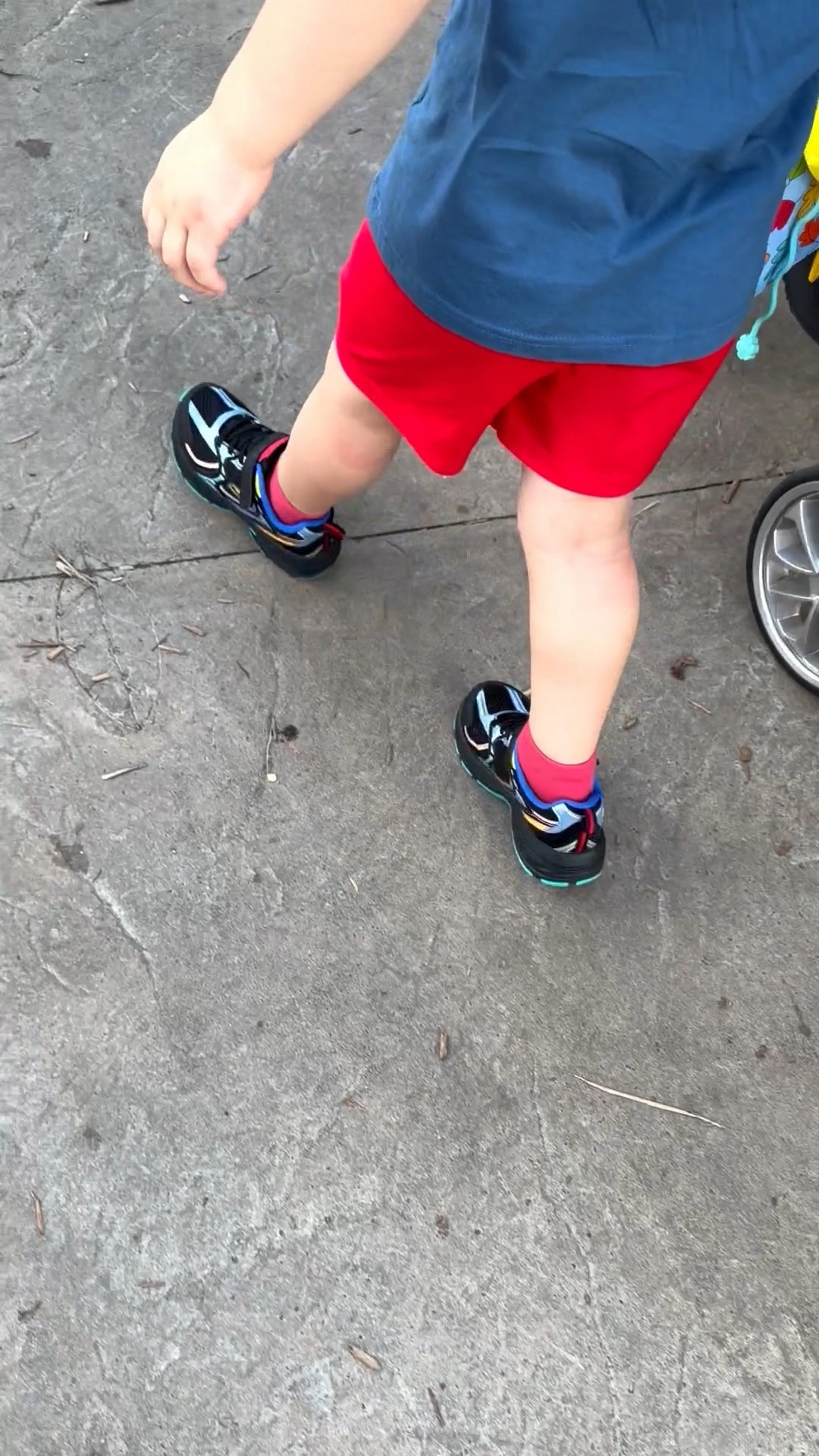 The best toddler shoes that match everything! 

#LTKootd #LTKActive #LTKKids