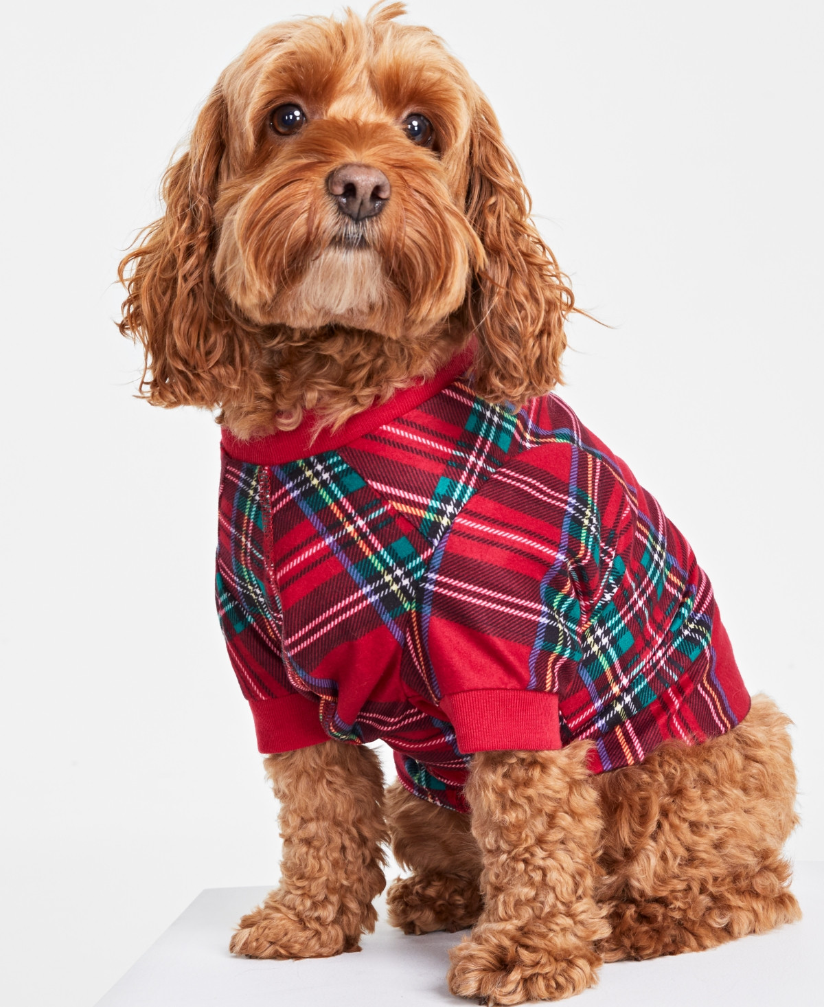 Matching Pet Brinkley Plaid Family Pajamas, Created for Macy's - Brinkley Plaid | Macy's