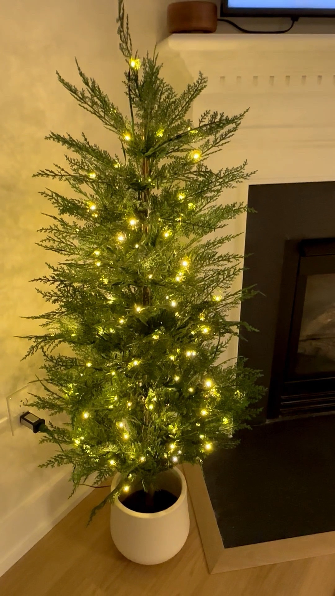 Target 4.5 foot pre-lit potted balsam artificial Christmas tree on sale for 40% off right now! Basically got two for the price of one and the quality is AMAZING! I’m pickyyy picky on artificial greenery and these are a 10/10 for me. I may put them into a different pot that isn’t plastic, but you can’t tell it’s plastic looking at it

Christmas tree, mini Christmas trees, Christmas decor, fake tree, fake Christmas tree, potted tree, potted plant 

#LTKSaleAlert #LTKHoliday #LTKHome