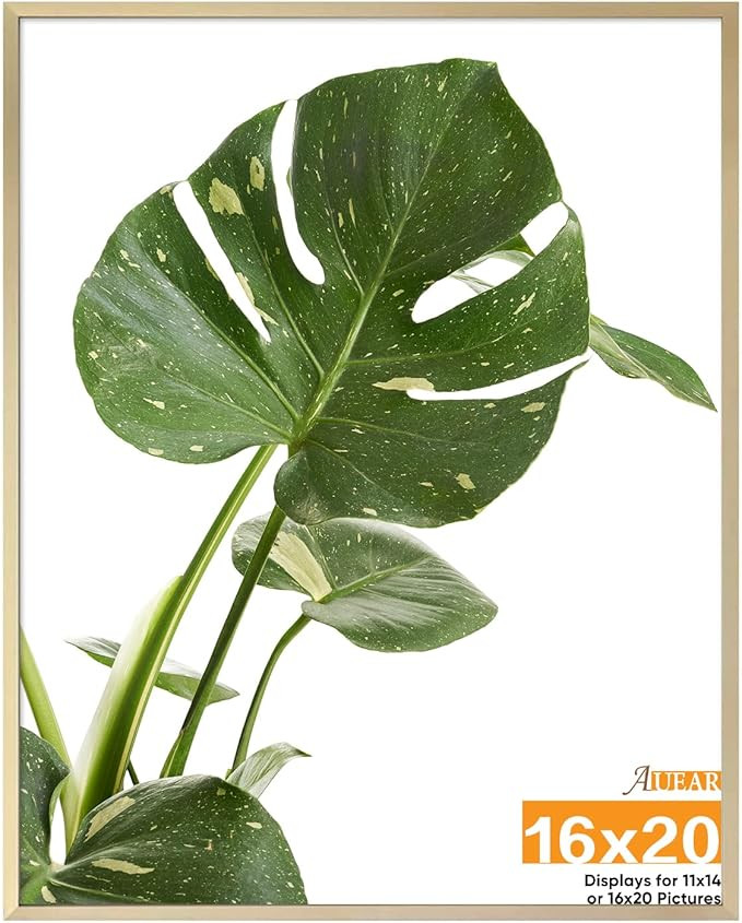 AUEAR, 16x20 Picture Frame - Display Photos 11x14 with Mat or 16x20 Without Mat - Aluminum Metal ... | Amazon (US)