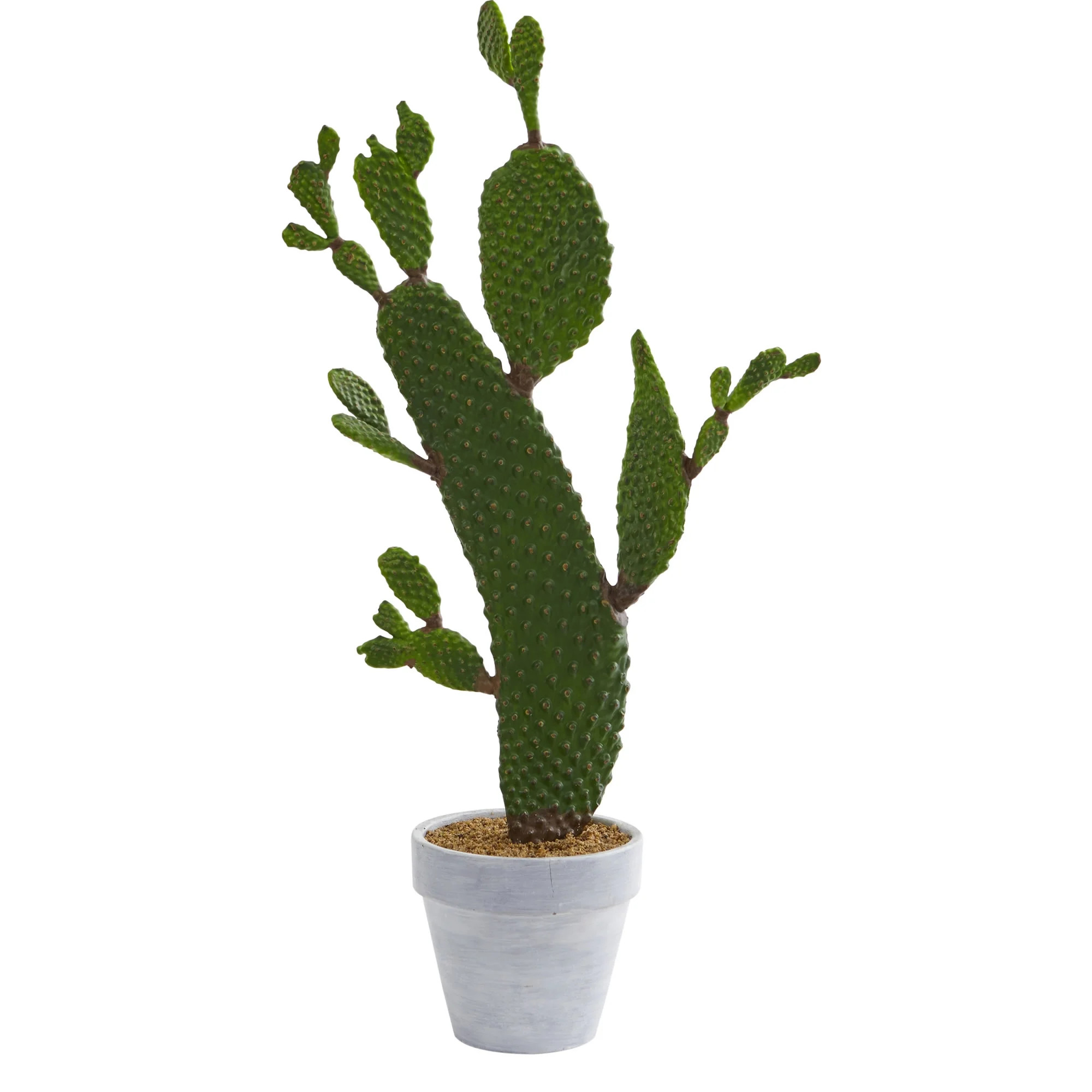 Nearly Natural 27" Plastic/Polyester Cactus Artificial Plant, Green | Walmart (US)