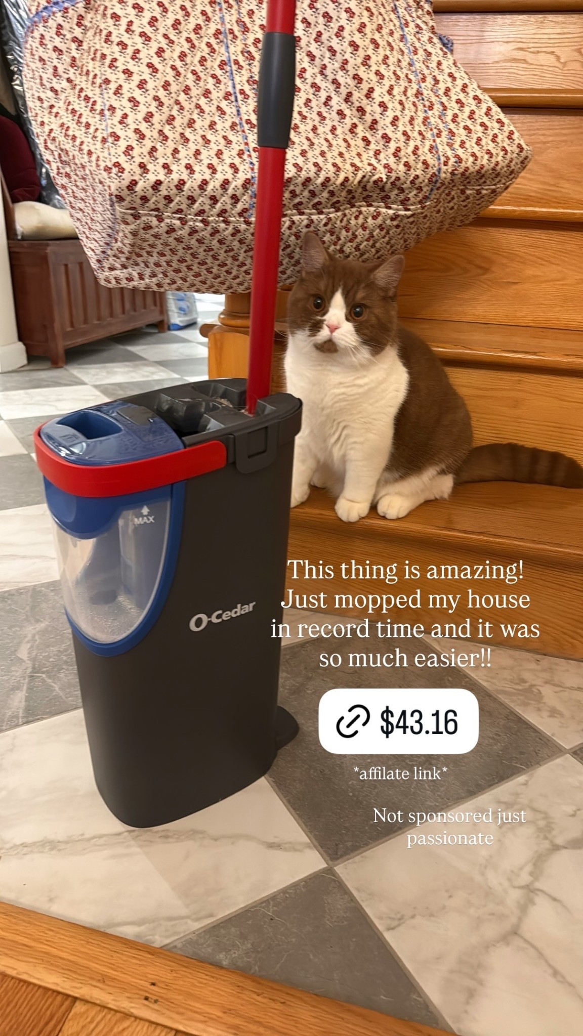 This thing is amazing! Just mopped my house in record time and it was so much easier!! The best mop @ocedarclean  Not sponsored just passionate *affilate link*

#LTKFindsUnder50 #LTKHome #LTKFindsUnder100