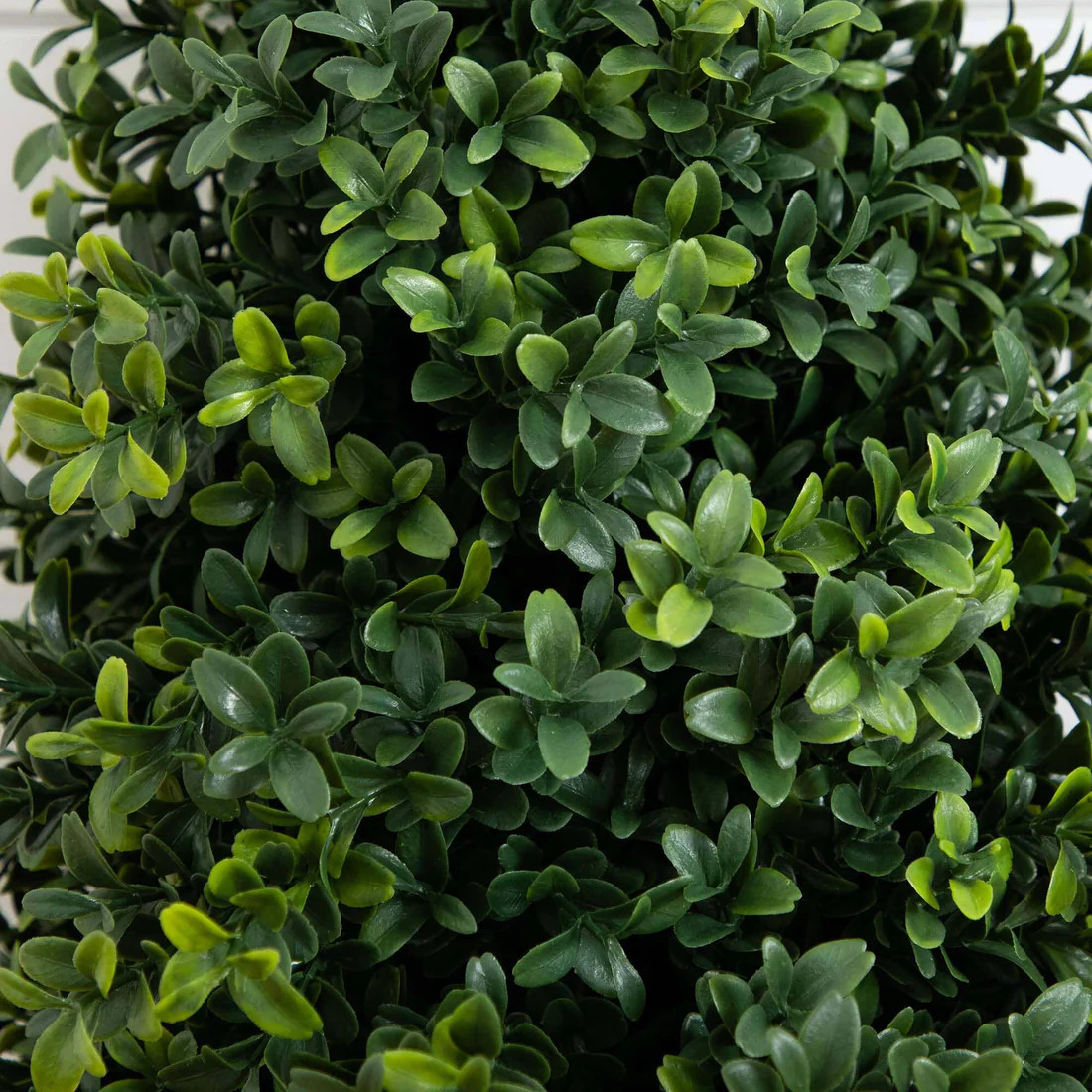 2.5' UV Resistant Artificial Boxwood Plant with Integrated Ground Stake (Indoor/Outdoor) - Set of... | Nearly Natural