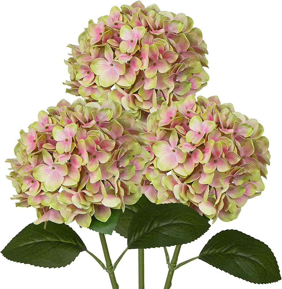 DILATATA Fake Hydrangeas Real Touch Hydrangea Flowers 24.8" Large Artificial Hydrangea Flowers Si... | Amazon (US)