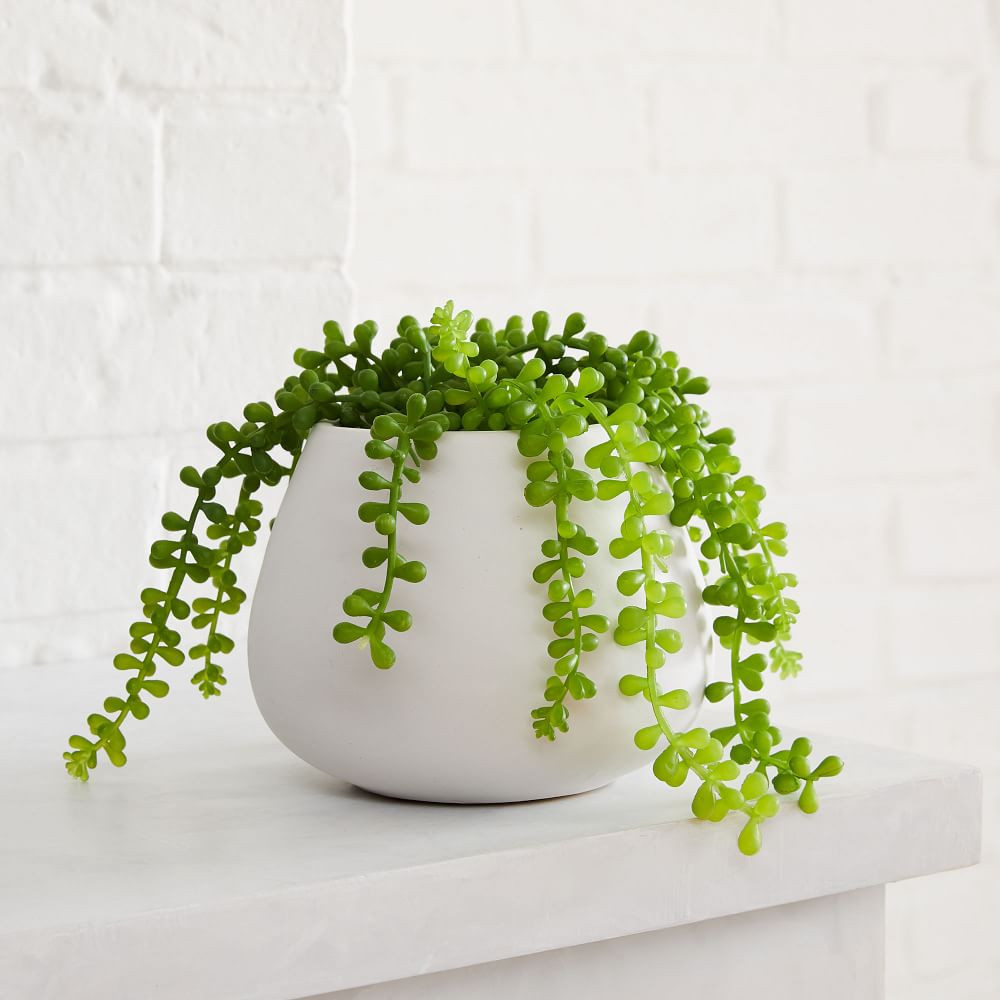 Faux Potted Trailing Succulent + Eva White Ceramic Planter Bundle | West Elm (US)