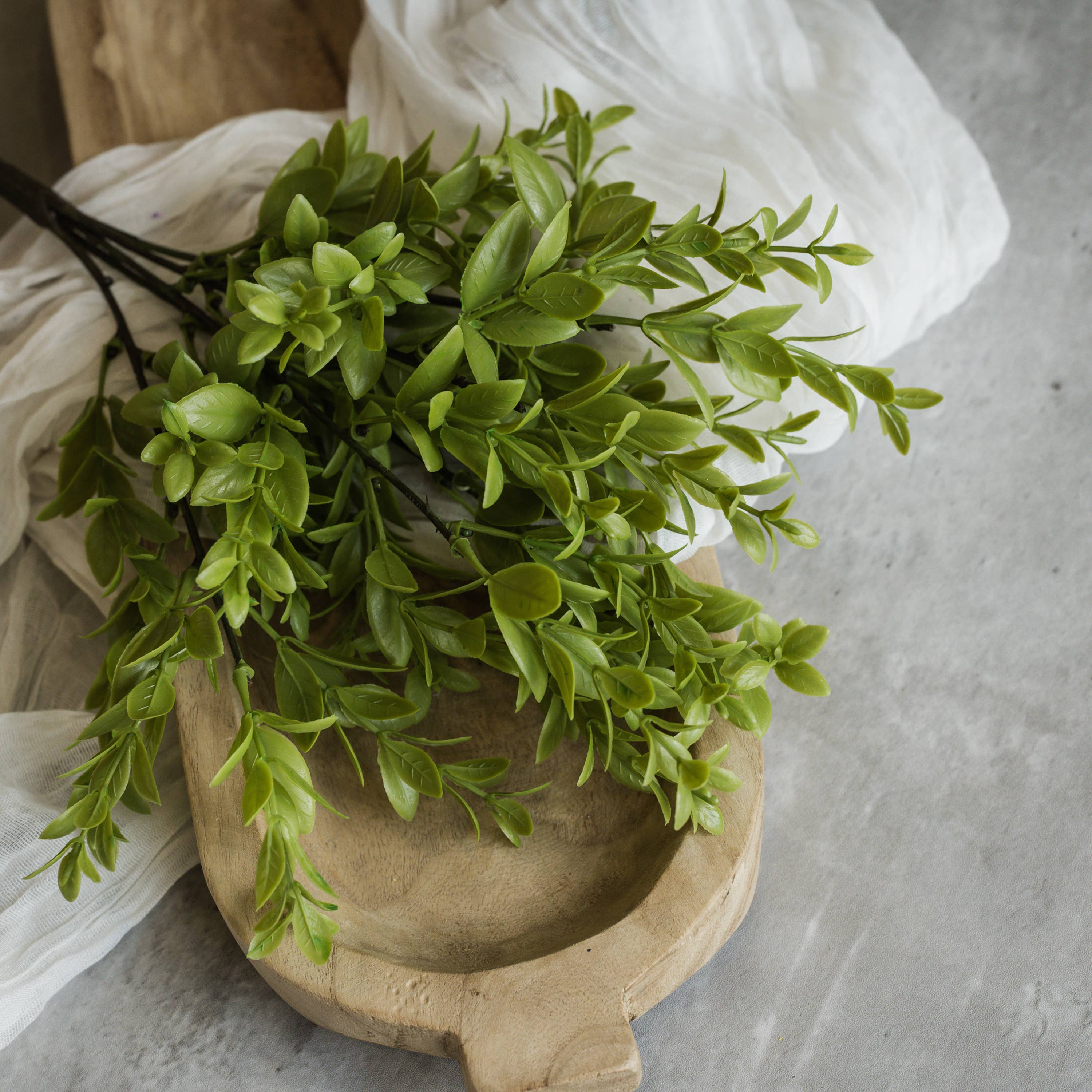 14" Ruscus Leaf Bush | Eco Chic Home