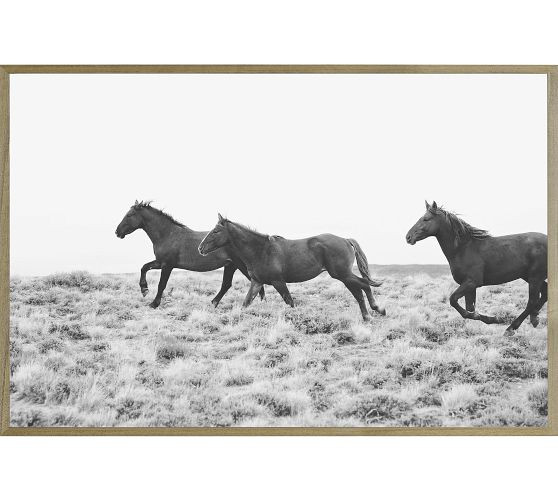 American Wild Horses by Jennifer Meyers | Pottery Barn (US)