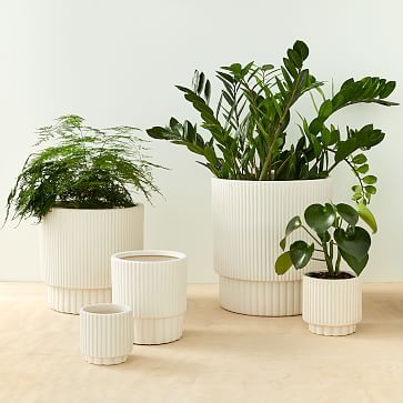 Fluted Indoor/Outdoor Planters | West Elm (US)