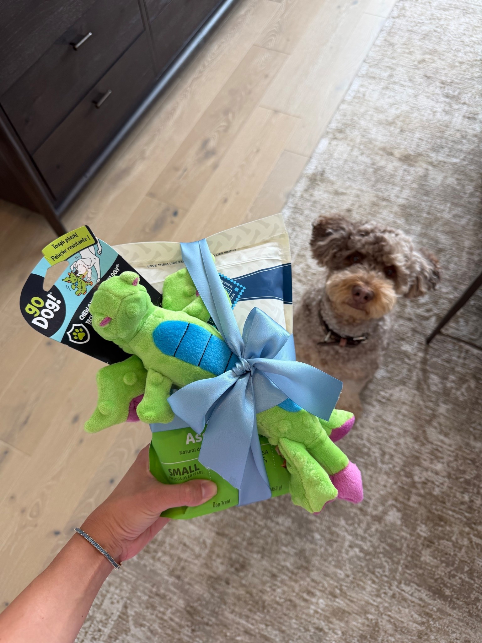 Dash got his bestie the cutest gift from @petco! Ready for the party! #petcopartner
