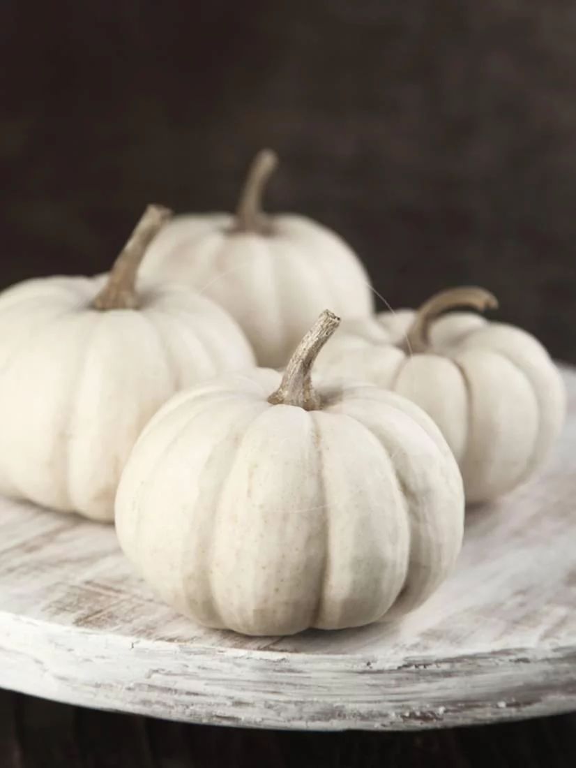 White Pumpkins on Wooden Board Print Wall Art By AnjelaGr | Walmart (US)