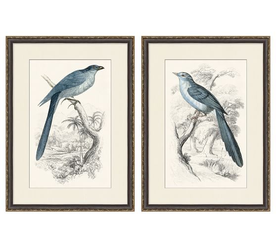 Traditional Bird Paper Print | Pottery Barn (US)