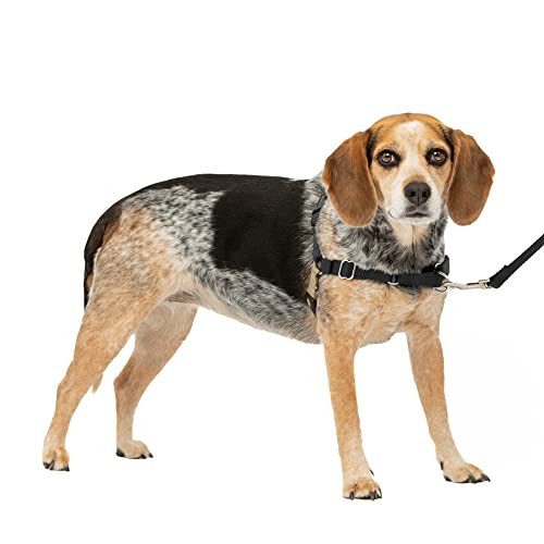 PetSafe Easy Walk Harness for Dogs - Pull-Free Walks - Patented Martingale Loop Design - Front Chest Leash Attachment - Comfort Straps - Breathable Harness Design - Small/Medium, Black/Silver | Amazon (US)