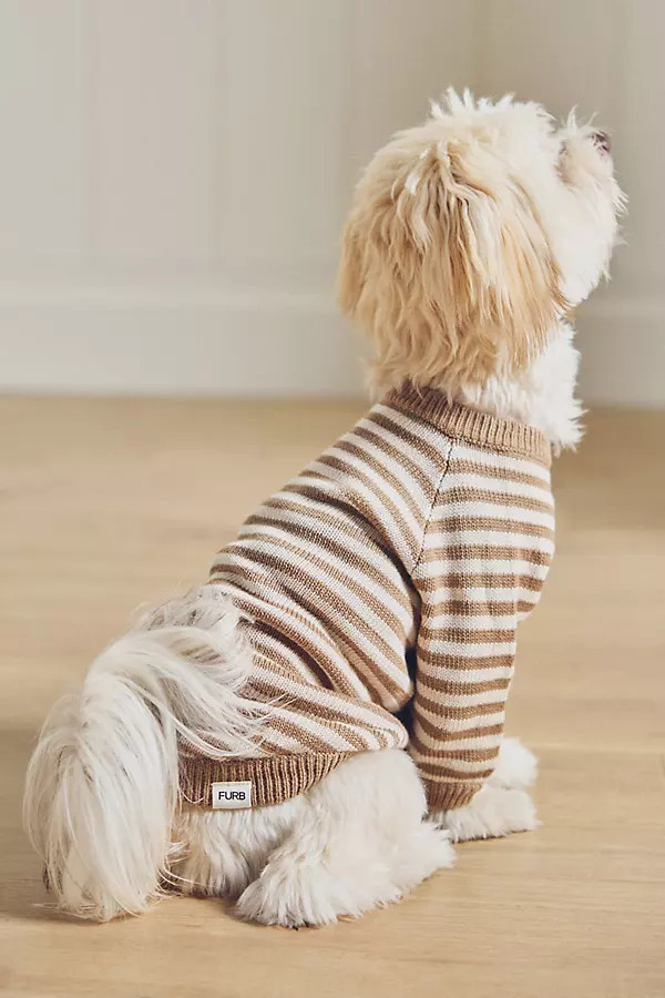 Like a Bandit Striped Pet Sweater | Anthropologie (US)