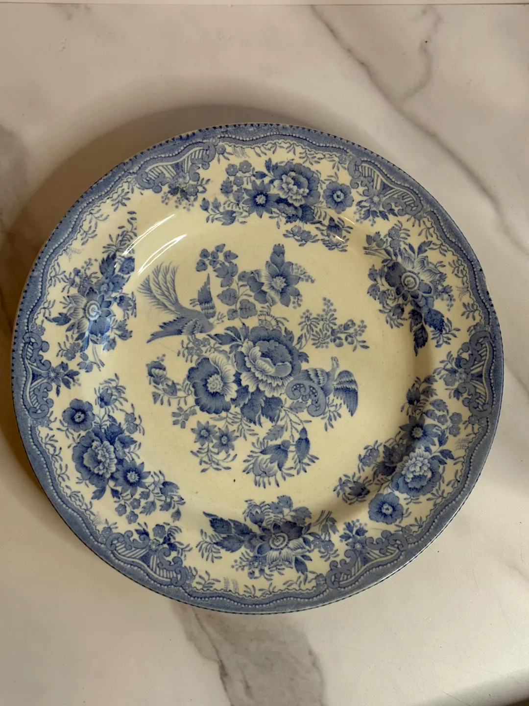 Antique Asiatic Pheasant Blue Staffordshire Transferware Plate - Etsy | Etsy (US)
