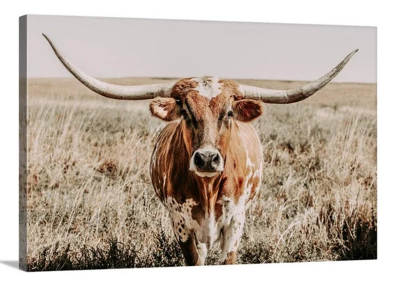 Longhorn cow print or longhorn canvas print. Western home decor cow wall art in neutral farmhouse... | Etsy (US)