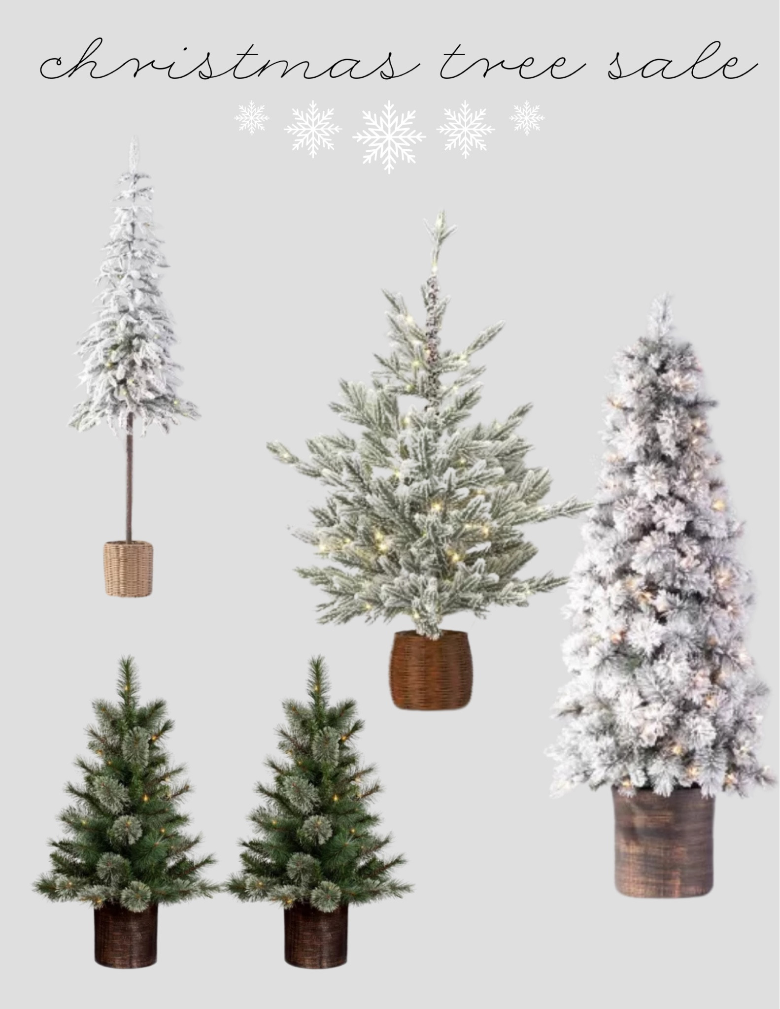 Target circle
Christmas trees

#LTKFindsUnder100 #LTKSaleAlert #LTKHoliday