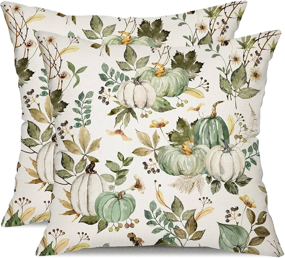 DFXSZ Fall Pillow Covers 18x18 inch Set of 2 Pumpkin Maple Leaf Flower Decorative Throw Pillow Ca... | Amazon (US)