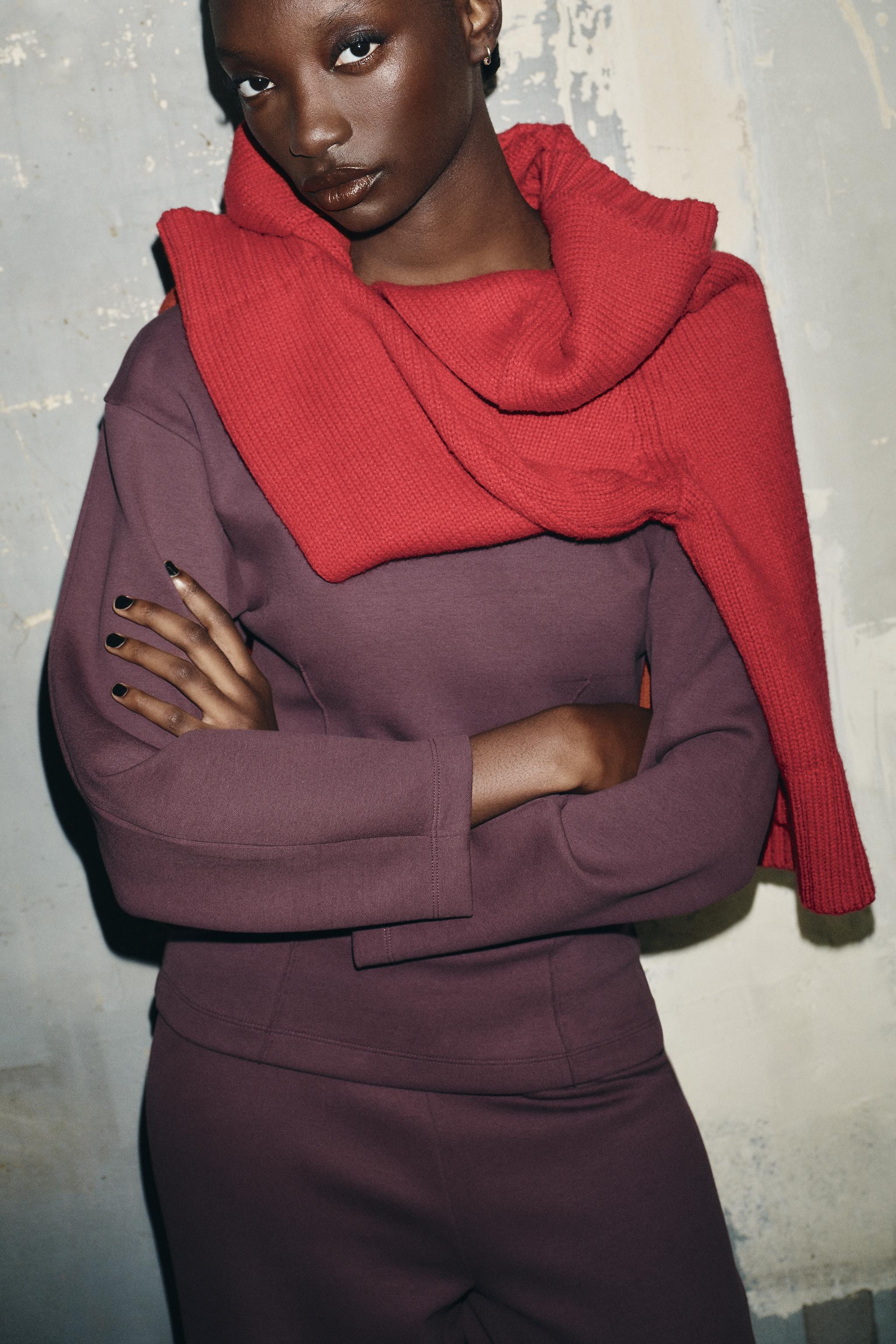 INTERLOCK JUMPER WITH DARTS | Zara DE