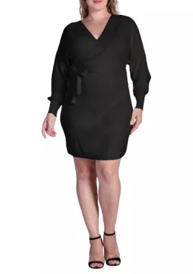 Standards and Practices Women V-back Full Sleeve Sweater Knit MINI Dress | Belk