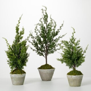 Tabletop Christmas Trees - Bed Bath & Beyond | Bed Bath & Beyond