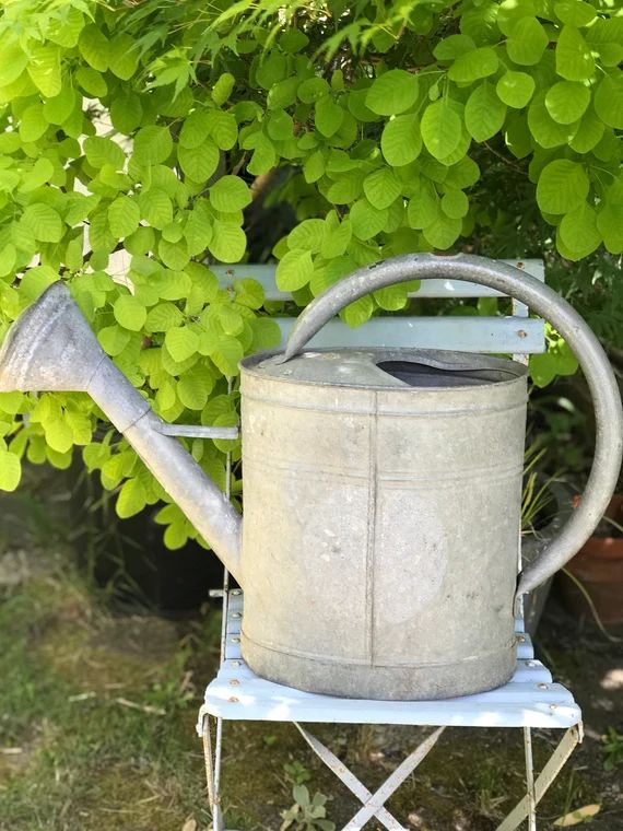 Beautiful  Vintage French zinc watering can | Etsy (US)