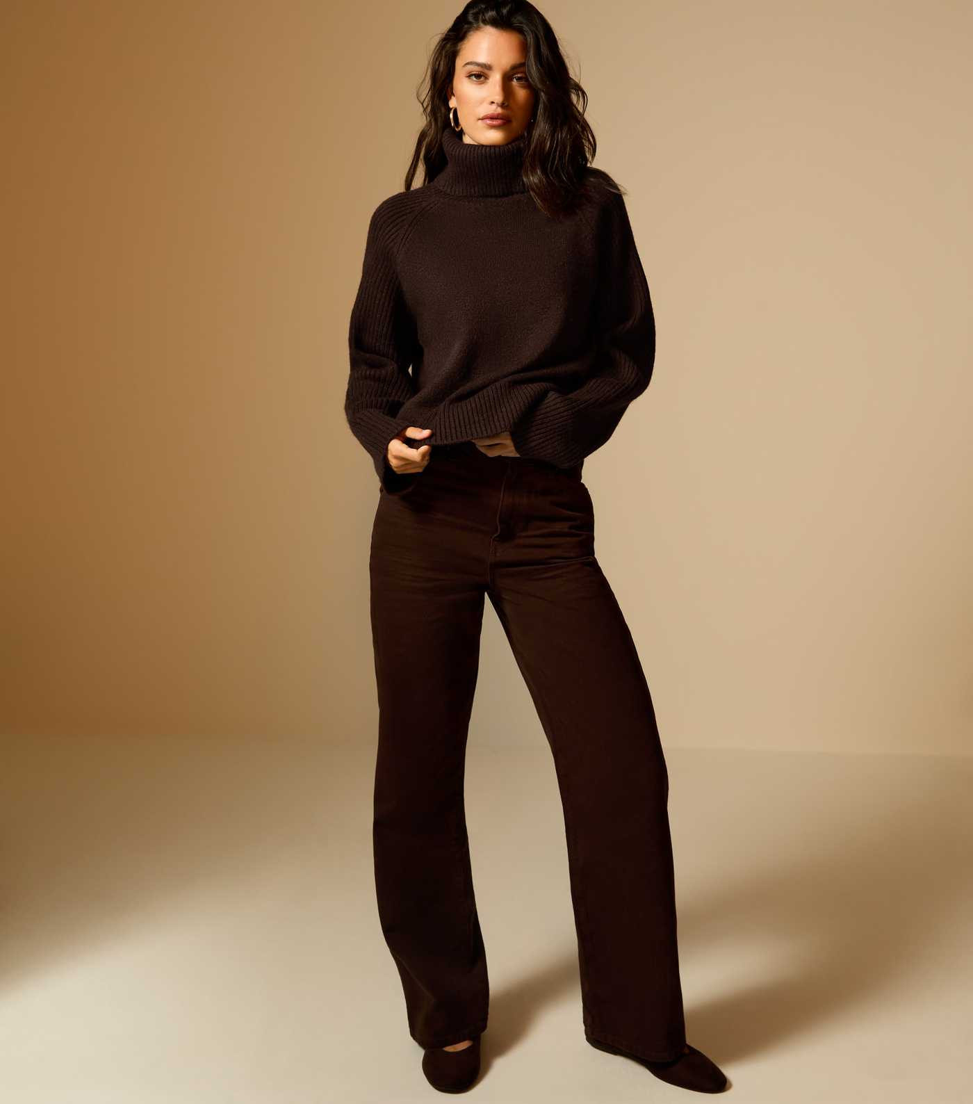Dark Brown Rib Roll Neck Jumper | New Look | New Look (UK)
