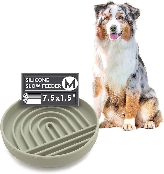 The Slowdown Bowl - Silicone Slow Feeder for Dogs & Puppies, Slow Eating, Modern Lick Mat Design,... | Amazon (US)