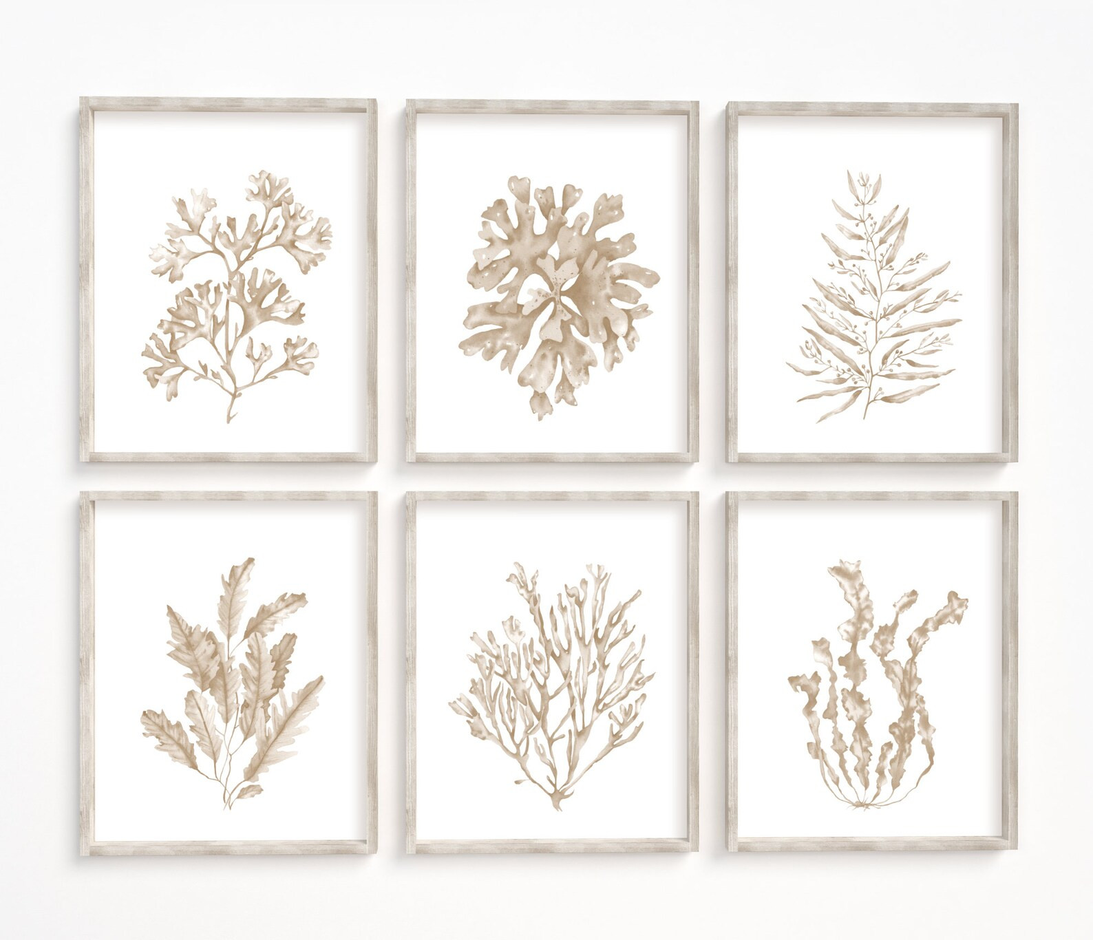 Seaweeds Corals Prints Set of 6. Beige Coastal Printable Wall Art. Beach House Art Prints. Waterc... | Etsy (US)