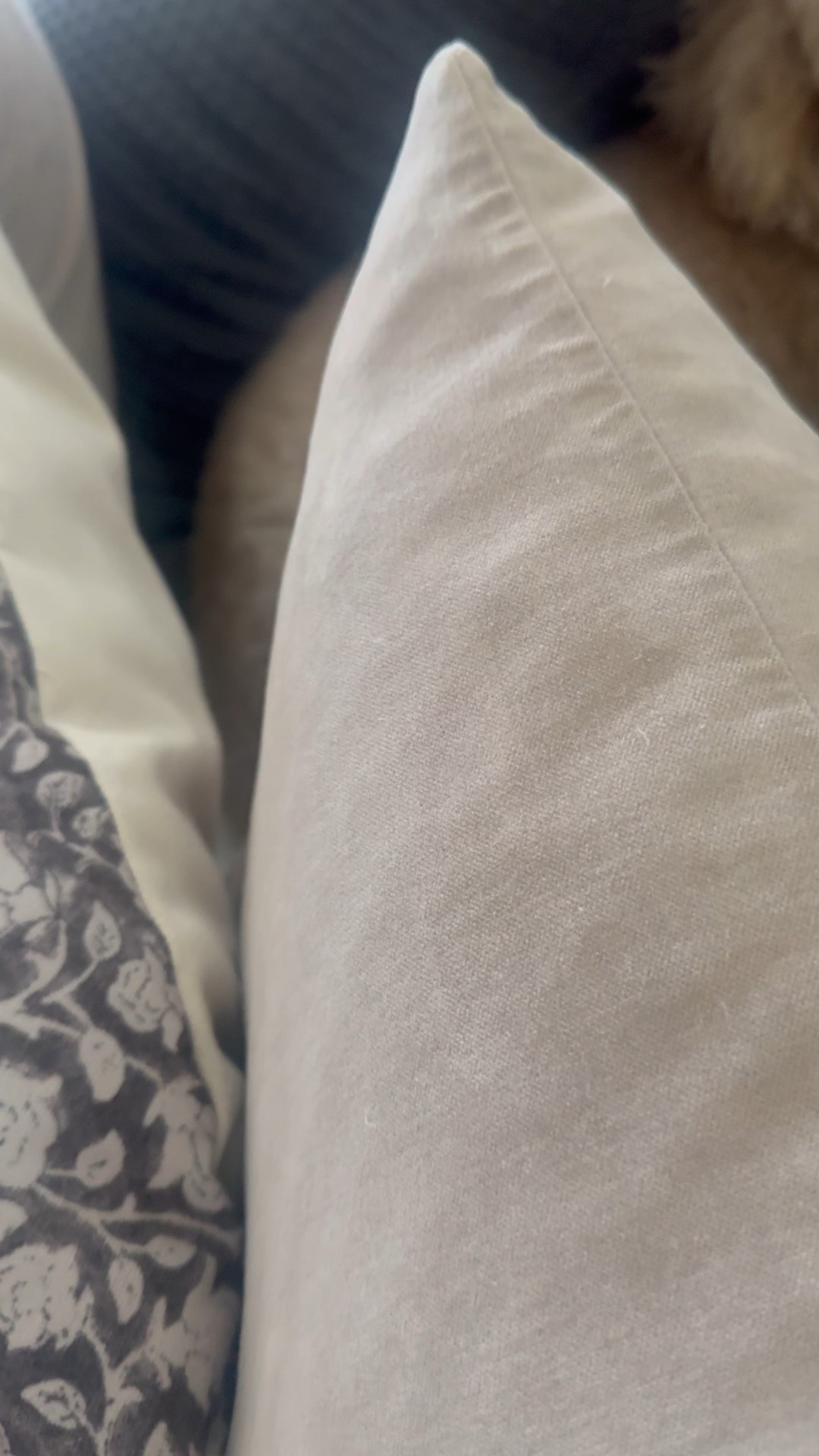 Amazon pillow covers 


#LTKHome #LTKFindsUnder50