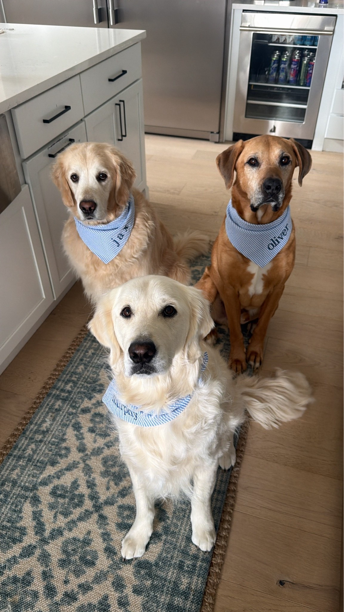custom dog bandanas! #EtsyPartner #EtsyCreatorCollective @Etsy