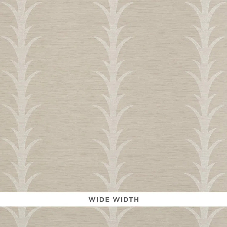 Birch Lane | Birch Lane