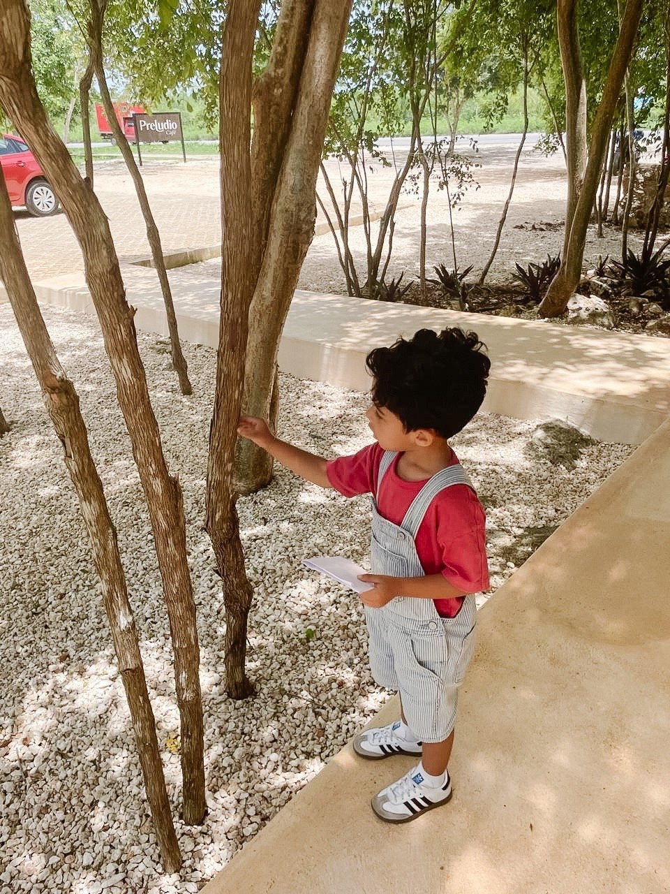 Love this overall! Also got him these Sambas to match mama 🥰


#LTKKids #LTKTravel #LTKFamily