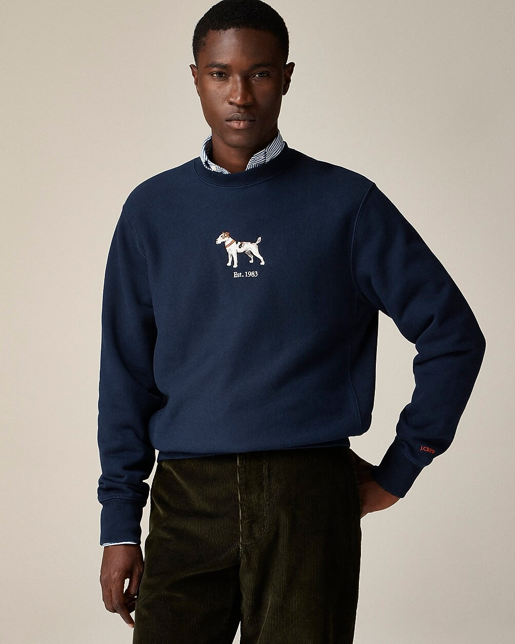 Heritage 14 oz. fleece embroidered dog graphic sweatshirt | J. Crew US