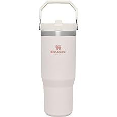 STANLEY IceFlow Stainless Steel Tumbler with Straw, Vacuum Insulated Water Bottle for Home, Offic... | Amazon (US)