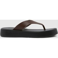 schuh Tabitha Toe Thong Sandals in Brown | Schuh