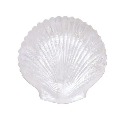Aphrodite Shell Plate | Cailini Coastal