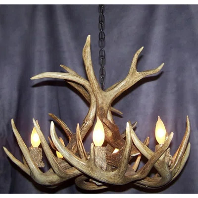Real Antler Chandelier - White Tail Deer Single Tier Large | Wayfair North America