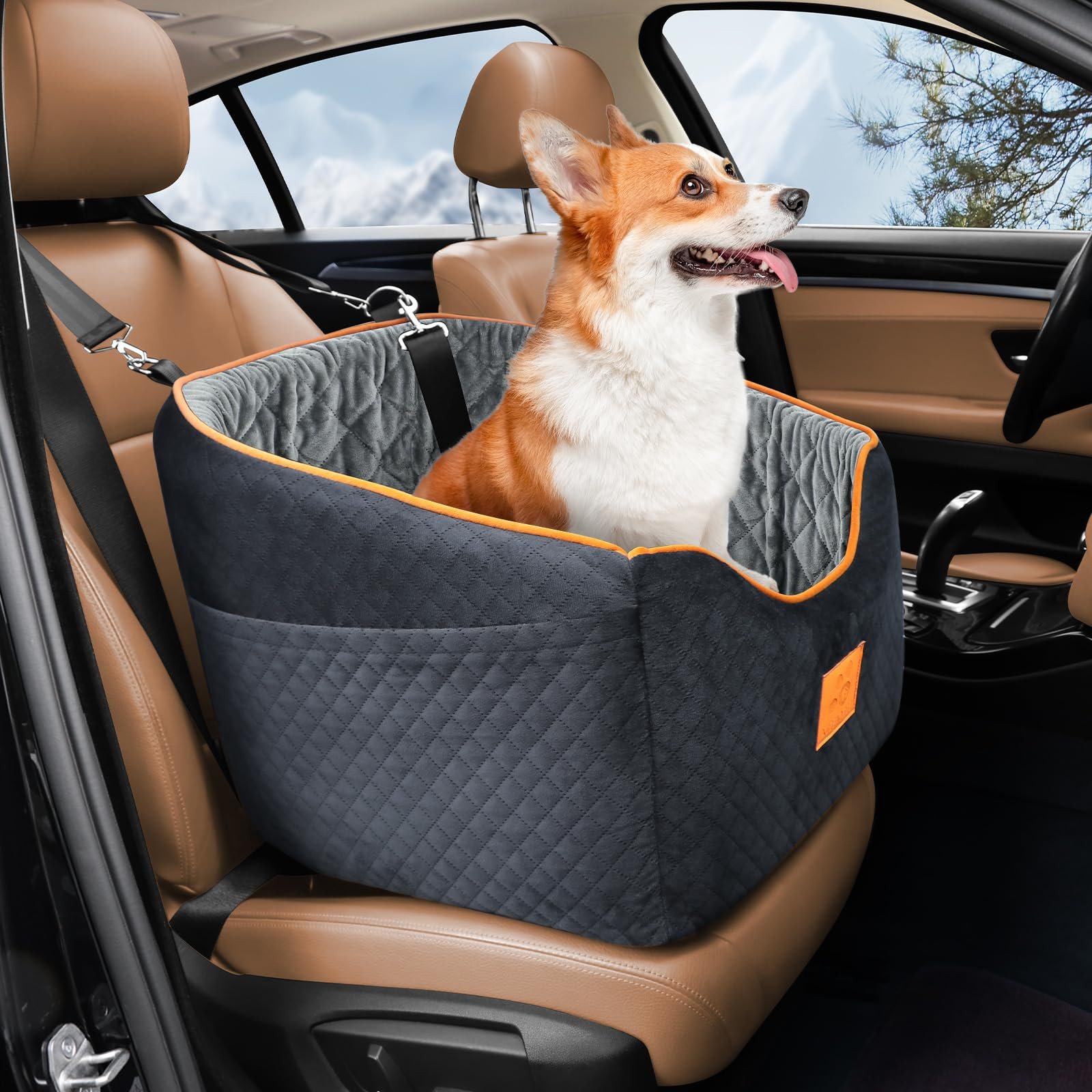 Dog Car Seat for Small Dogs, Memory Foam Booster Dog Seat for Dogs up to 35 lbs, Elevated Pet Car... | Amazon (US)