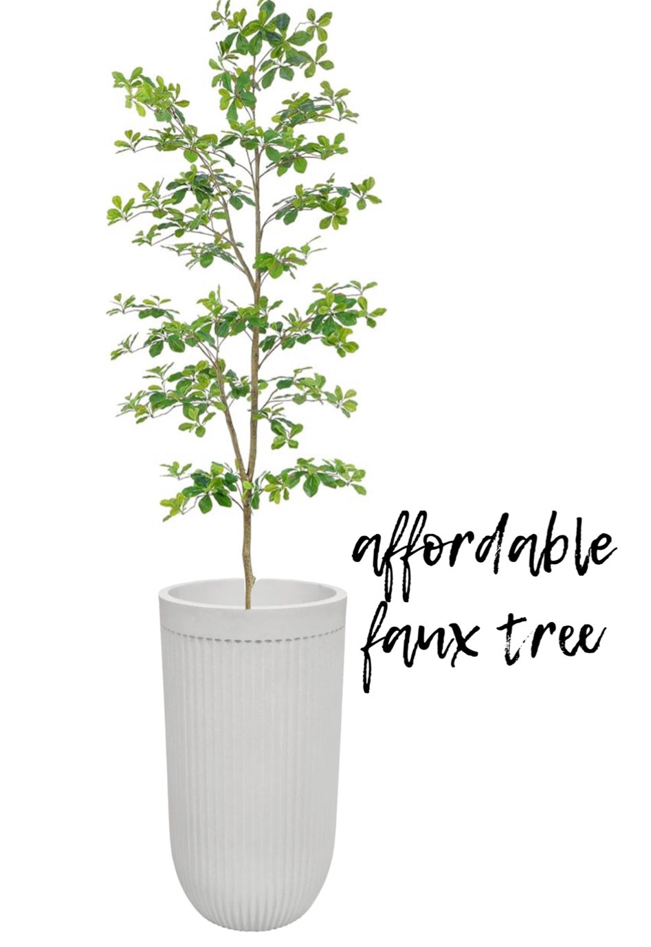 under $80 and 7ft tall, this one is sure to sell out again so scoop it up fast!!! 

#LTKhome #LTKfindsunder100