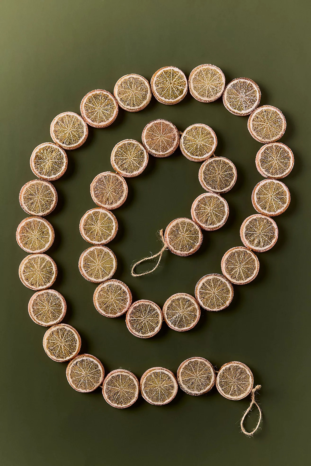 Sugared Orange Slice Garland | Anthropologie (US)