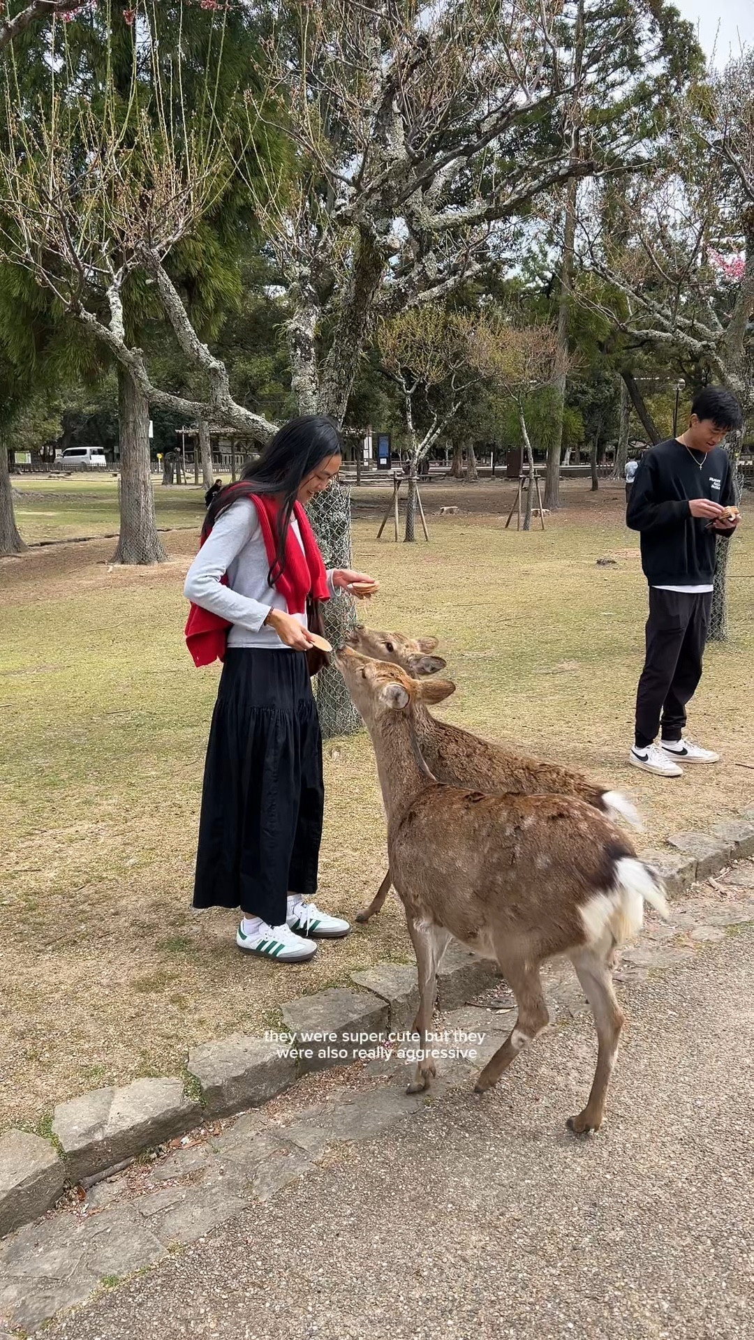 the deers were so cute :’) 


Japan, Japan vlog, Japan outfit, things to do in Japan, Japan fashion, Nara, Osaka 

#LTKTravel #LTKWatchNow