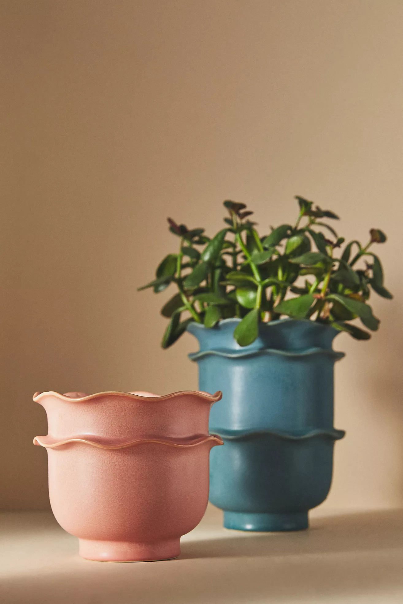 Scallop Ruffle Pot | Anthropologie (US)