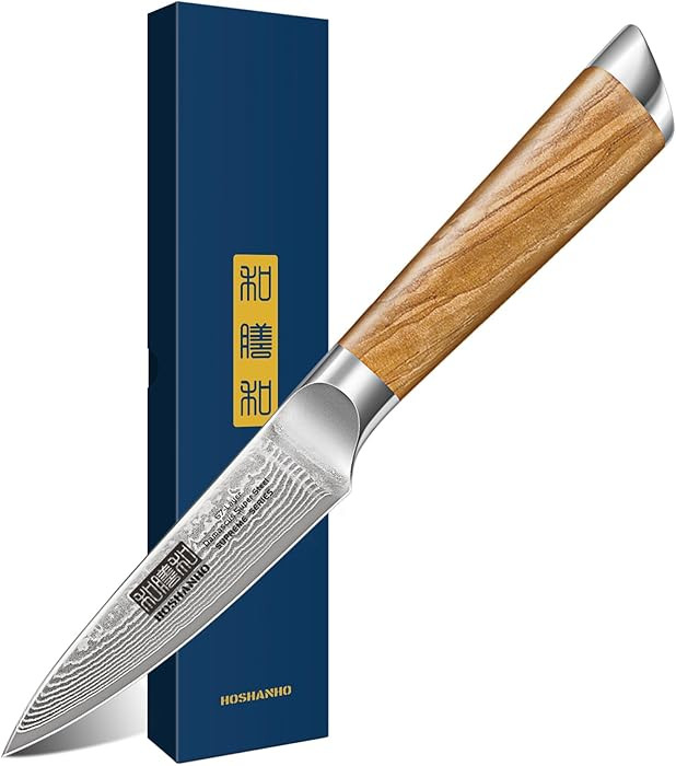 HOSHANHO Damascus Paring Knife 3.75 Inch, Professional 67 Layers Damascus Super Steel Small Fruit... | Amazon (US)