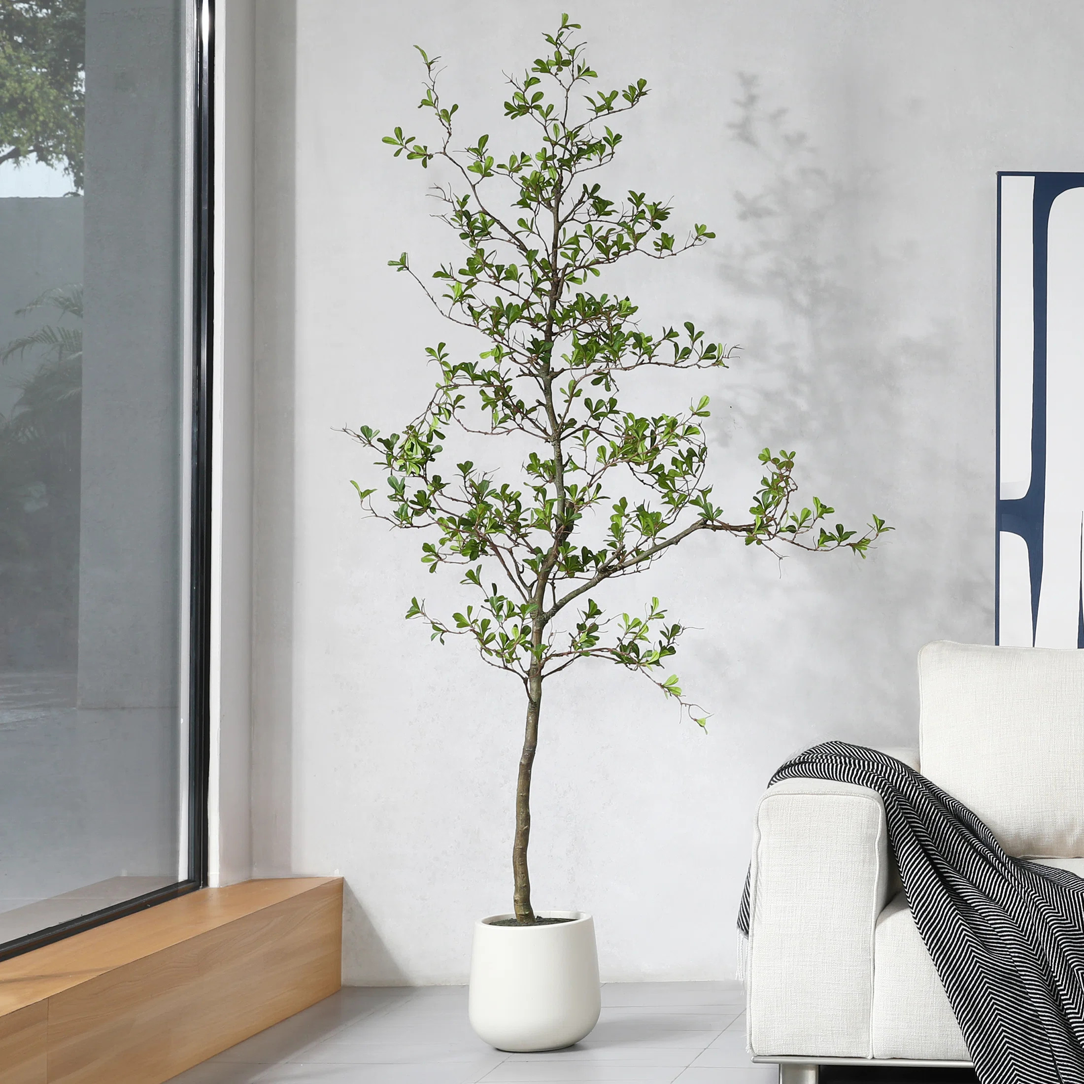 Adcock Artificial Black Olive Tree in White Pot, Tall Faux Shady Lady Tree for Indoor Home Decor | Wayfair North America