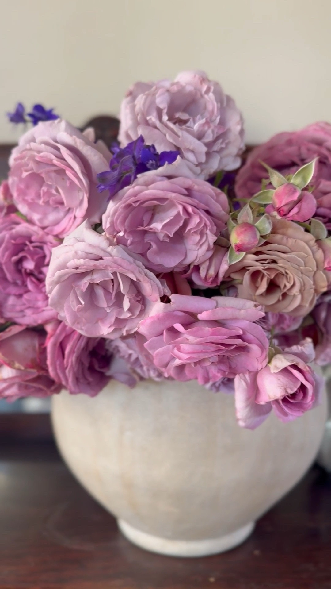 I love this beautiful artisan ceramic vase! It will make a great Mother’s Day gift for mom, grandma, your sister, daughter, granddaughter, niece, daughter-in-law, mother-in-law and more! This beauty can hold so many roses, hydrangeas, dahlias and more! I’m sharing the link to gorgeous neutral vase, our favorite rose bushes, the soil and drippers we use at our flower farm! ❤️



#LTKMothersDay #LTKSeasonal #LTKHome